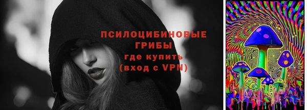 СК Козельск