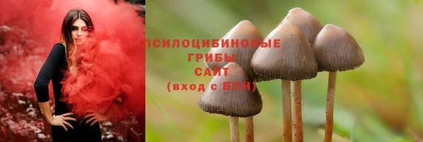 ALPHA PVP Кинешма